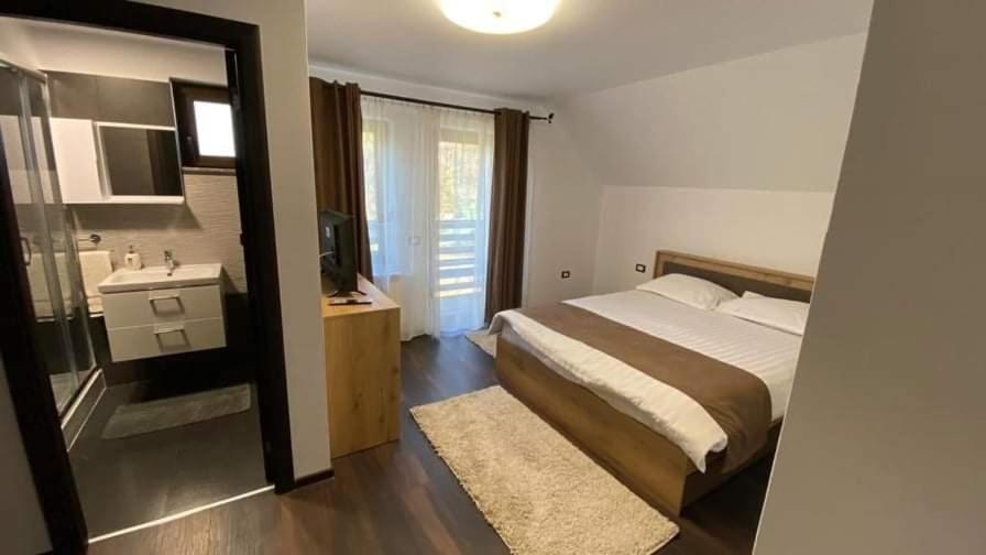 Transylvania House Borşa Εξωτερικό φωτογραφία